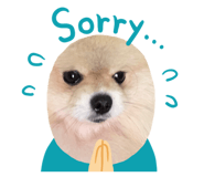 404615929