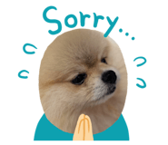 404615943