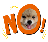 404615947