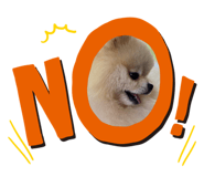 404615953