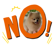 404615957