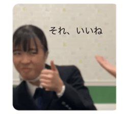 404623135