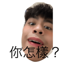 404634135