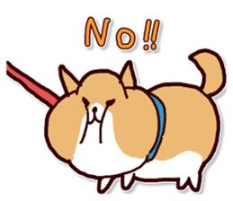 4046403