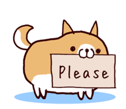 4046404
