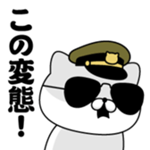 404674558