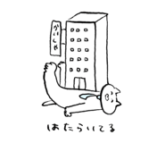 40471154