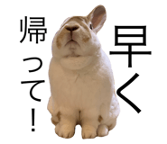 404723906