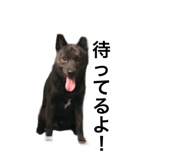 404728142