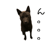 404728146
