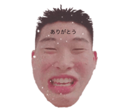 404731862
