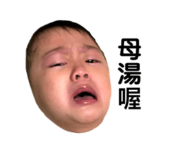 404773750