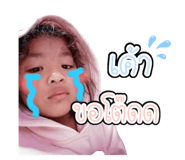 404816822