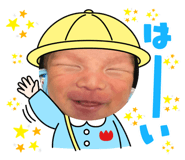 404844564