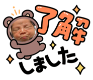 404844565