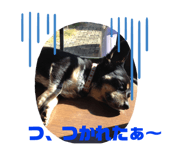 404854834