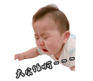 404856314