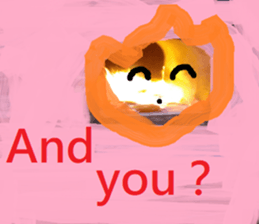 404892842