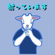 404896414