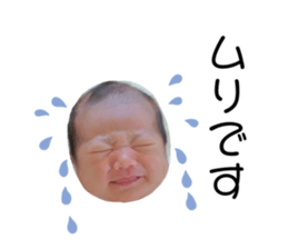 404945580