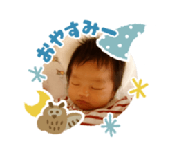 404951043