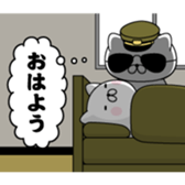 404960126