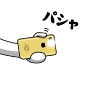 404960143