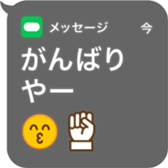 404964020