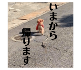 404998409