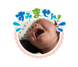 405017309