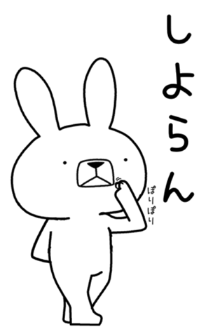 405025492