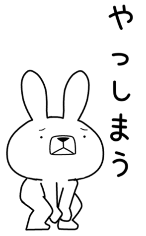 405025517