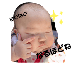 405030346
