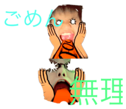 405036685