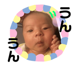 405038406