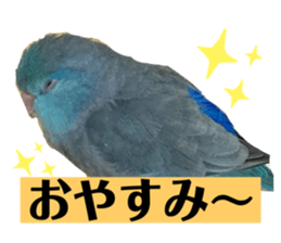 405050169