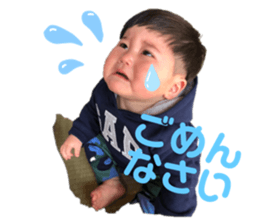 405055246