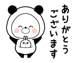 405062376