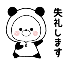 405062396