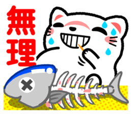 405074842