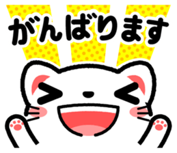 405074847
