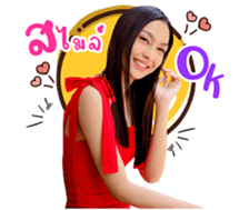 405079041