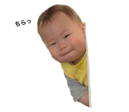 405098480