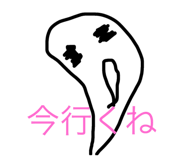 40510657