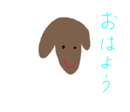405127197