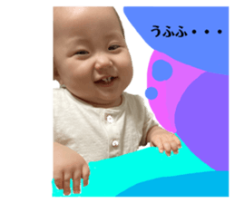 405134550