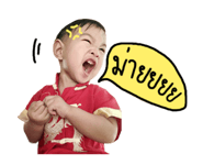 40514629