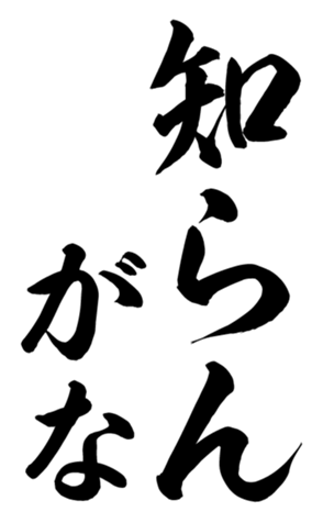 405153594