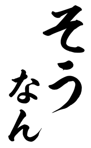 405153613