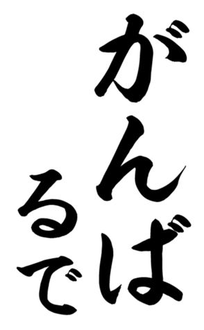 405153617